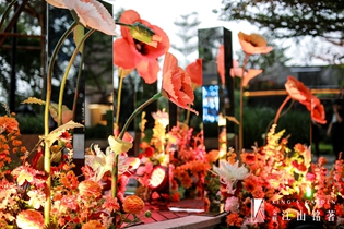 1526884041823695.jpg 图片1 (2).jpg