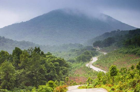 1559283494863521.png 1559283467(1).png