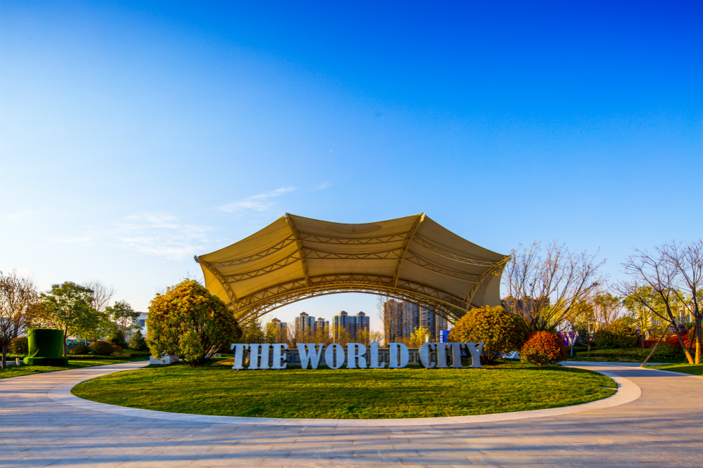 1577095629705621.jpg 金辉产品