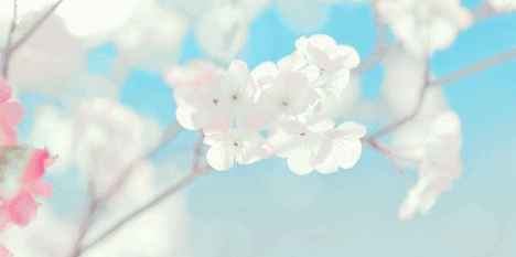 1585301750589999.png 图片1.png