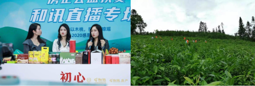 1624884747542291.png 图片 13.png